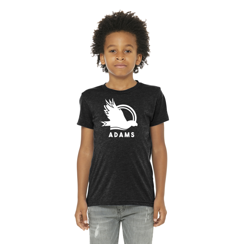    BC3413Y BELLA+CANVAS ® Youth Triblend Short Sleeve Tee  See Companion(s)